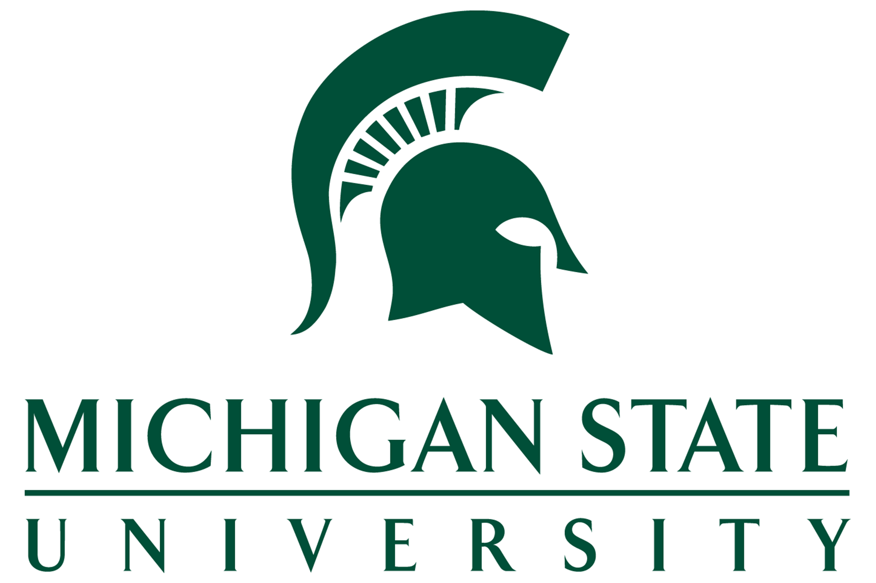 michigan state university