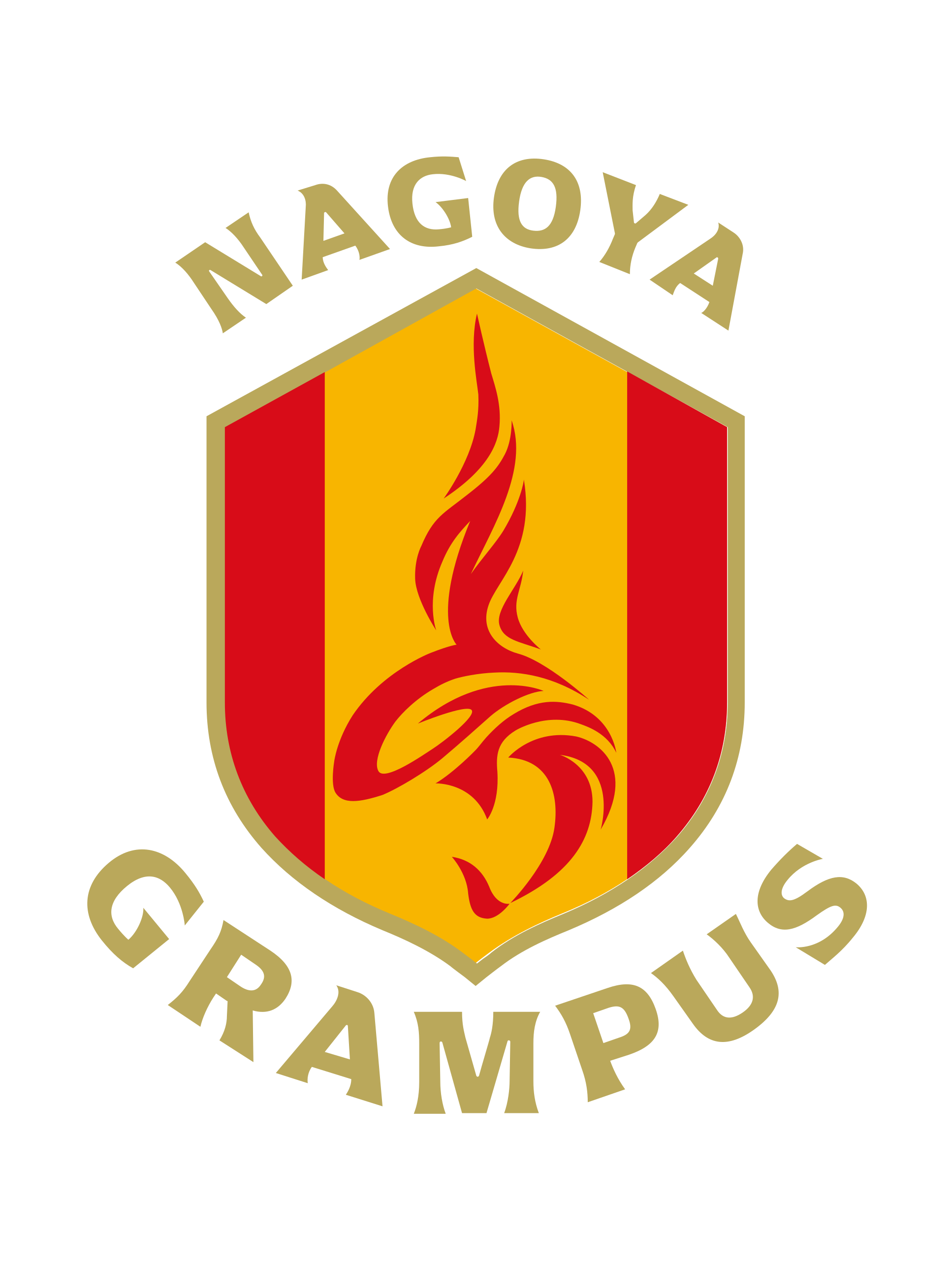 名古屋鲸鱼足球俱乐部