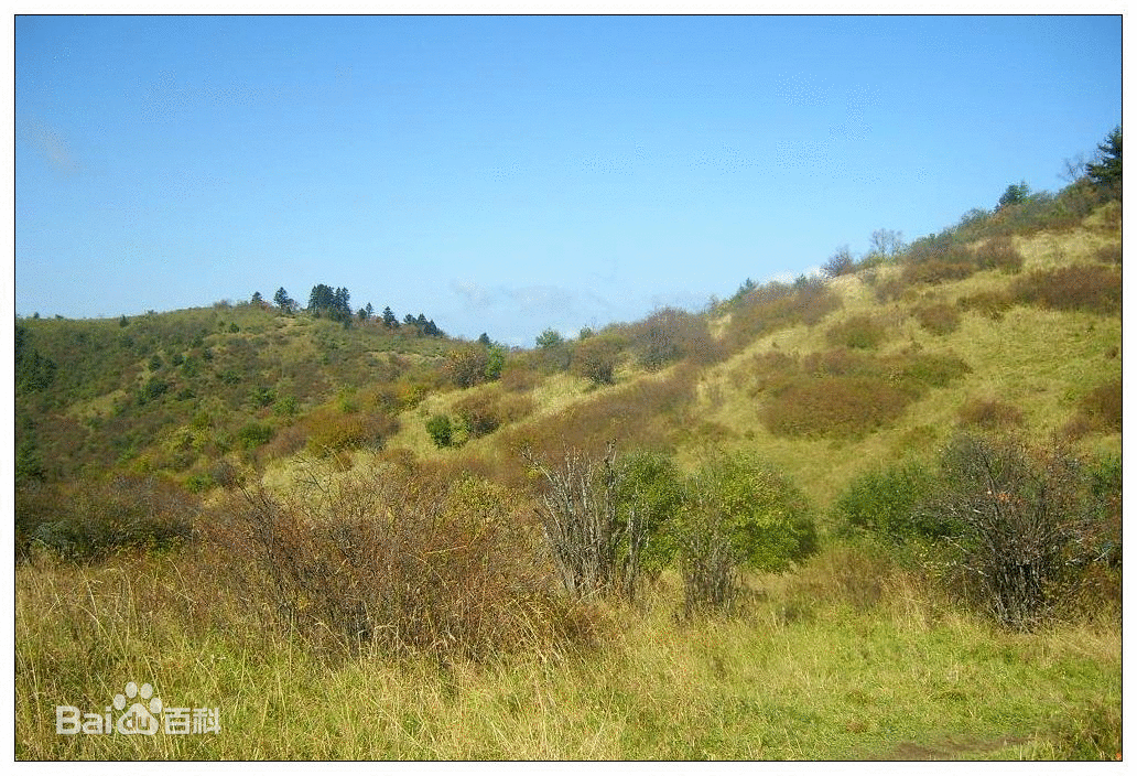 陕西长青国家级自然保护区