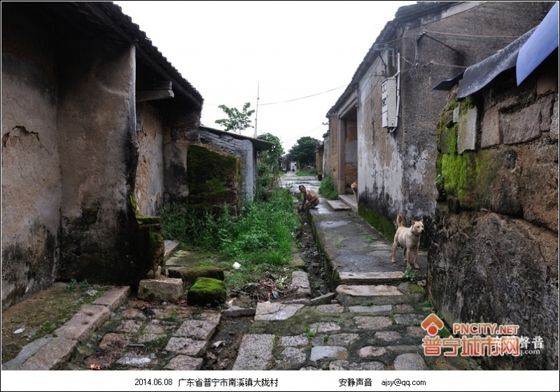 大陇村,南陇村(第26页)_大山谷图库