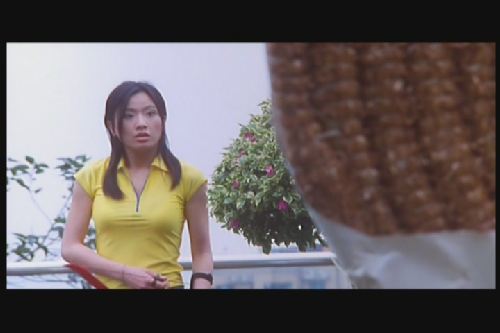 生人勿近之邪花sangyanmatganjichedut(2000)