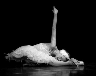  p>芭蕾独舞《天鹅之死》表现了人类与命运,死亡进行搏斗的坚韧顽强
