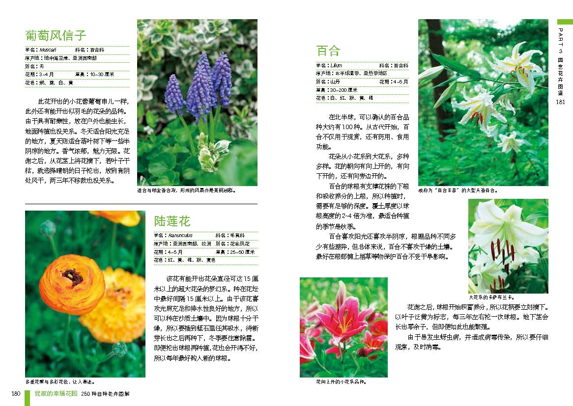 href="/item/我家的幸福花园 : 250种自种花卉图解">我家的幸福花园