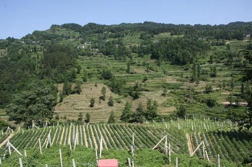 永乐镇,贵州省遵义市红花岗区辖镇,由新蒲