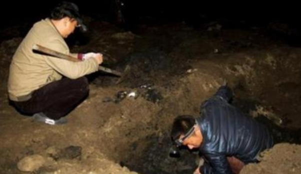  p>杨彬,男,武惠妃墓盗墓案主犯,1965年生于西安,21岁从一所技校毕业