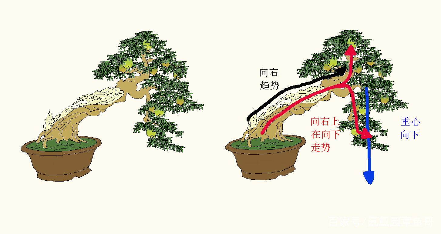 盆景造型手法第二关，斜干式盆景和临水式盆景的介绍_百科TA说