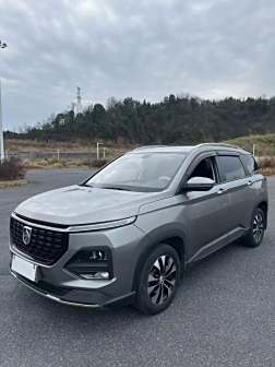 宝骏530图片