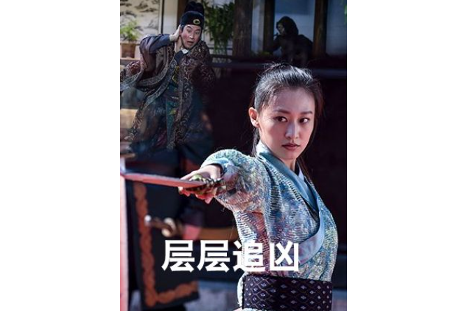 《层层追凶》是由朱维俐执导,候桐江,王岗,袁中方,王欢主演的古装电影