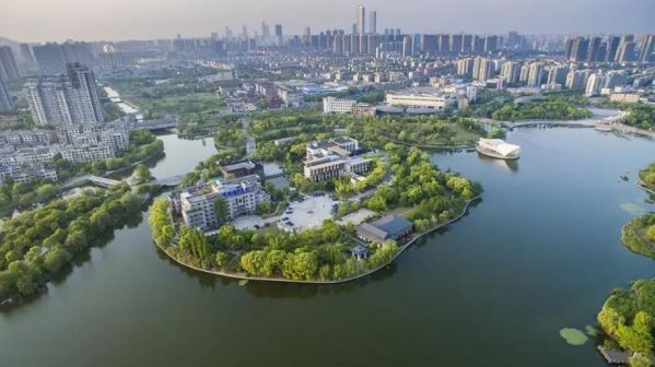 滨湖区_百度百科