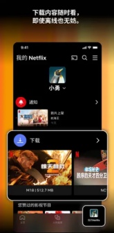 Netflix iOS预览图
