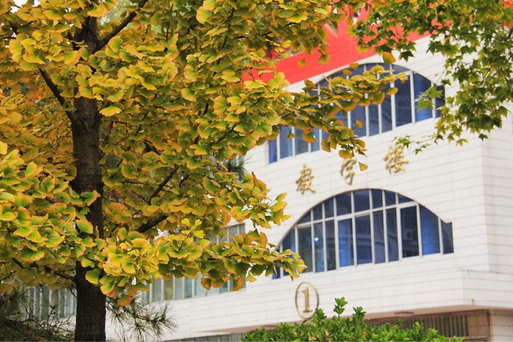 安阳市第一中学