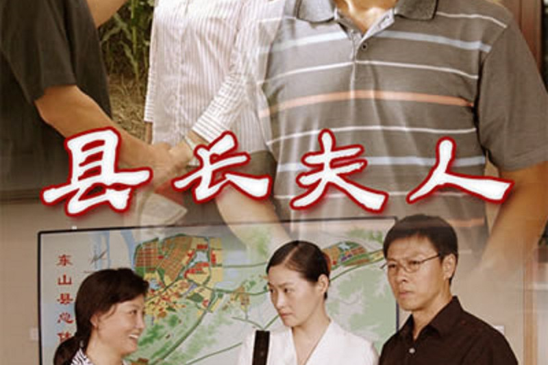 县长夫人 全网资源