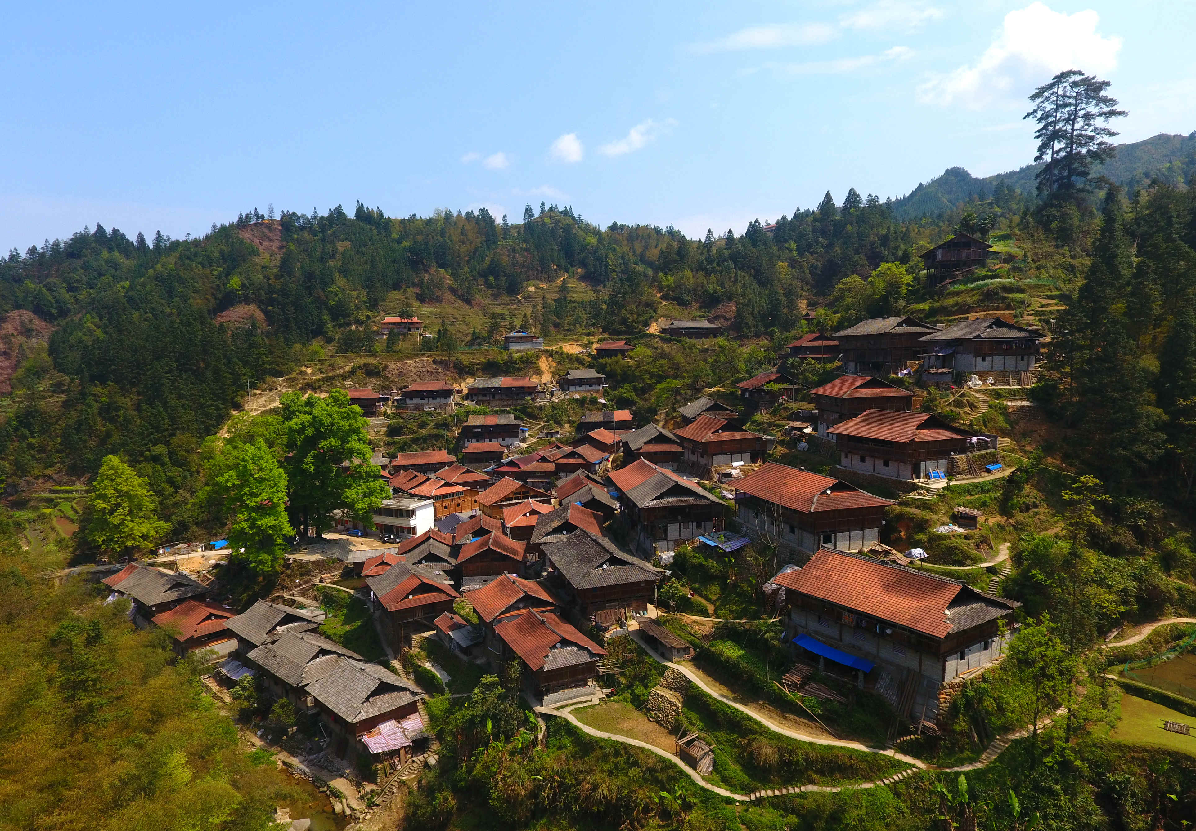其中100户属广西融水苗族自治县杆洞乡党鸠村,40户属贵州省从江县翠里