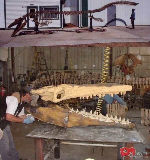  p>海王龙(tylosaurus)又名 a href="#" data