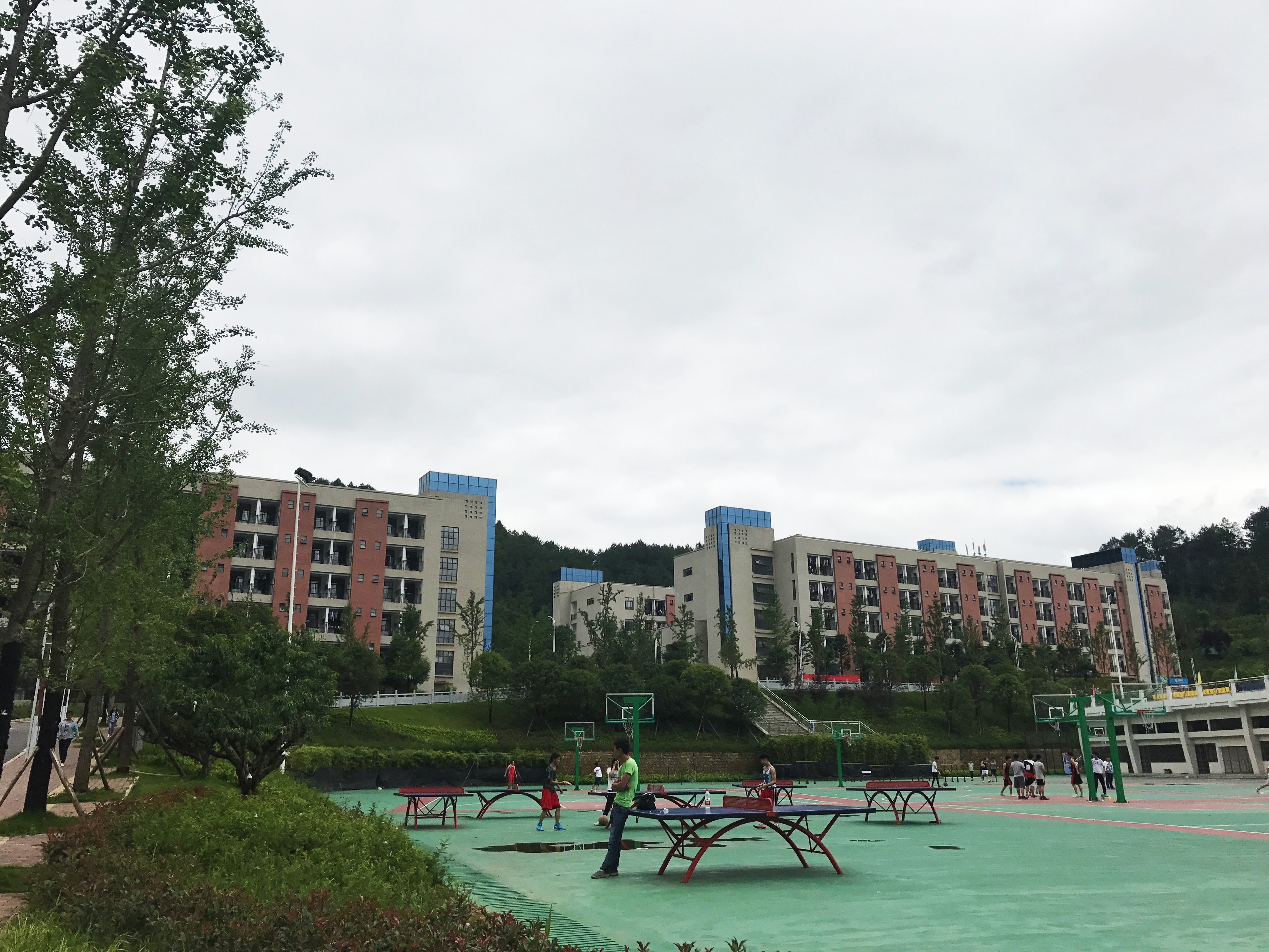  p>黔南民族医学高等专科学校创建于1985年11月,是经教育部批准设立的