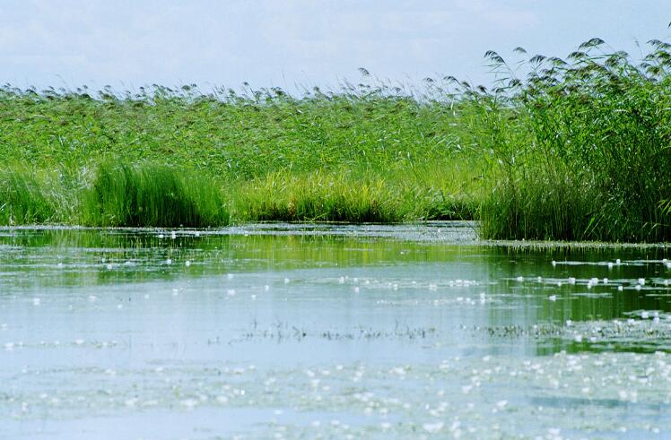 千里岩岛海洋生态系统自然保护区