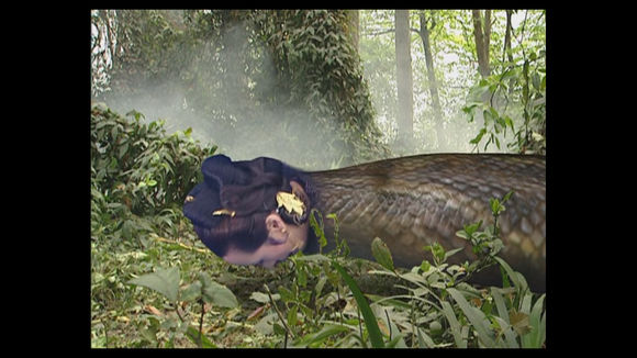 0o0fo1nm">蟒蛇精是《 a target="_blank" href="/item/西游记/5723"