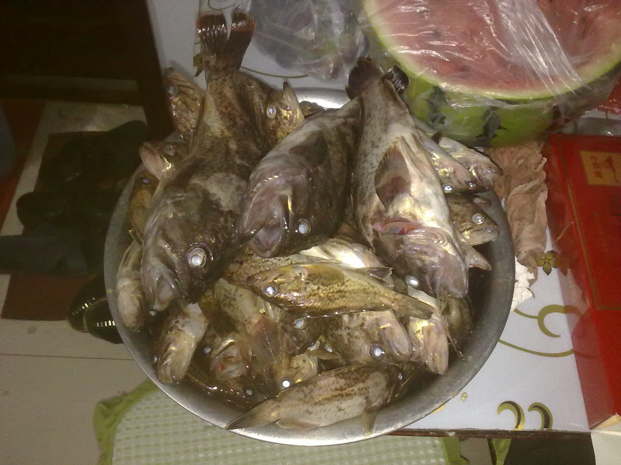  p>黑头鱼为铀形目蚰科平鲐的一种,又称黑石鲈,黑头, a href="#" data