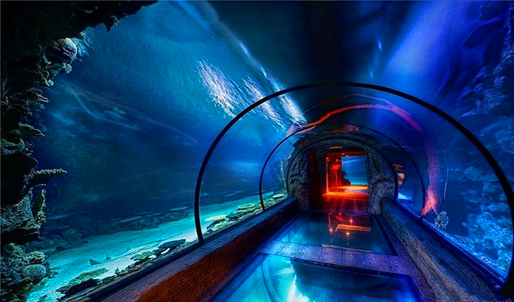  p>龙门海洋馆位于千年帝都洛阳市 a target="_blank" href="/item