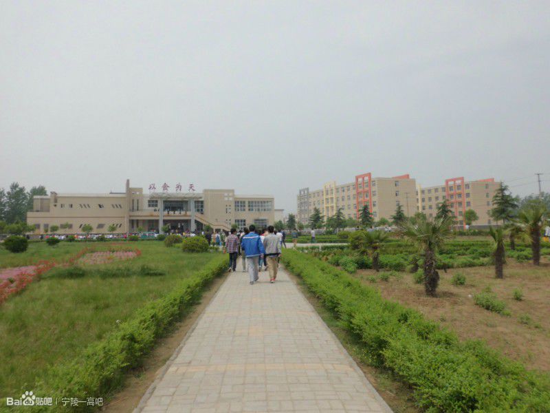 宁陵高中