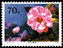 云南山茶花（1979年发行的特种邮票）_百度百科