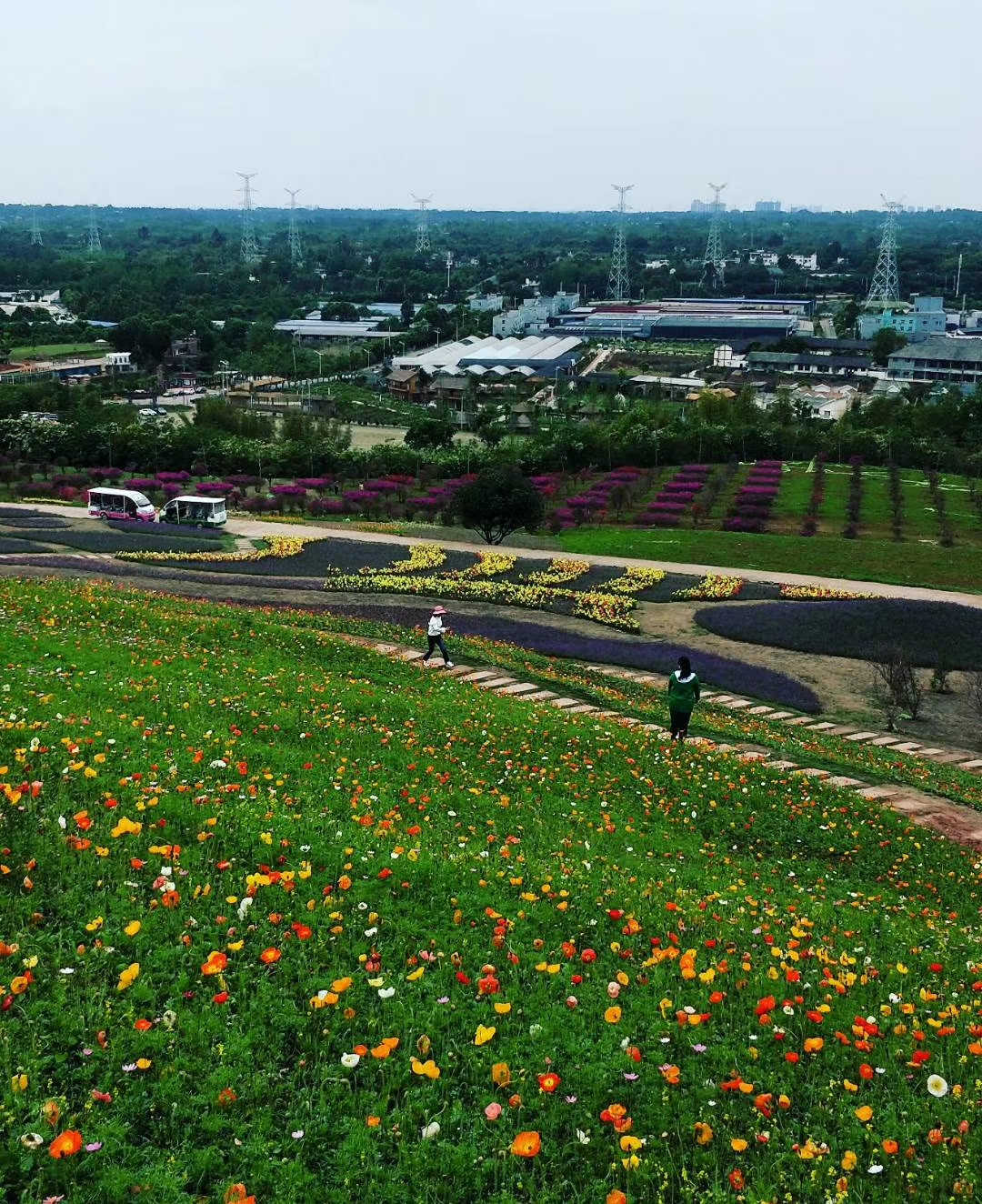  p data-id="gnvh2ch11p">喜来登杨梅小镇位于四川省成都市天府新区