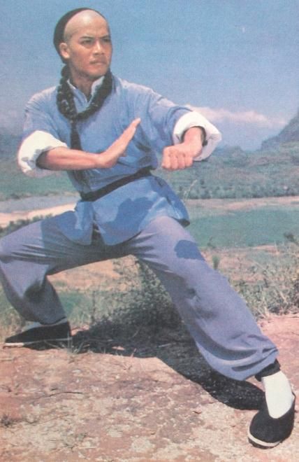 南拳王