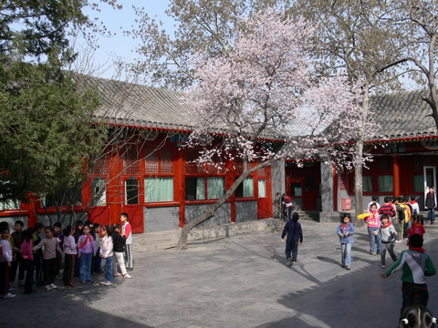 西四北四条小学