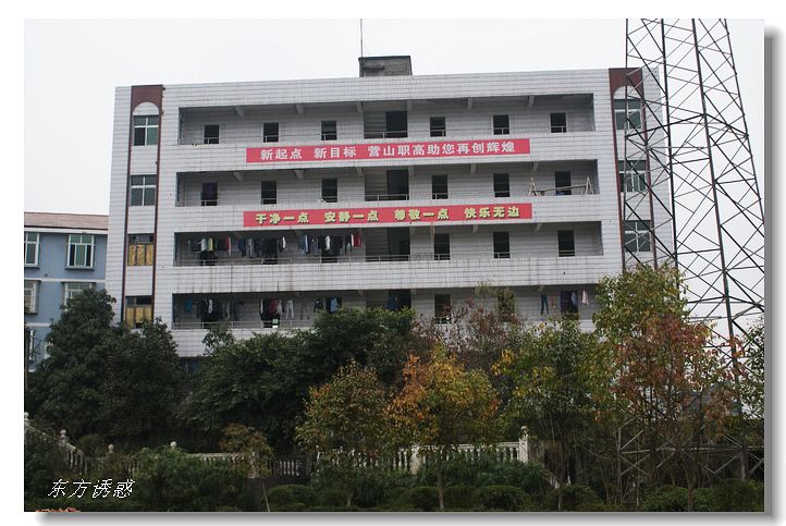  p>营山第三中学(营山职业高级中学)是一所集普通教育和职业教育于