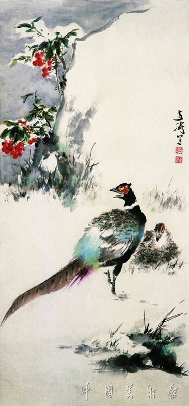 雉鸡