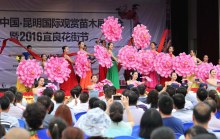 2016宜良花街节