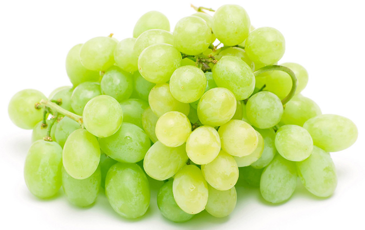  p>马奶提,一种绿色长粒葡萄,又名马奶葡萄,马乳葡萄.