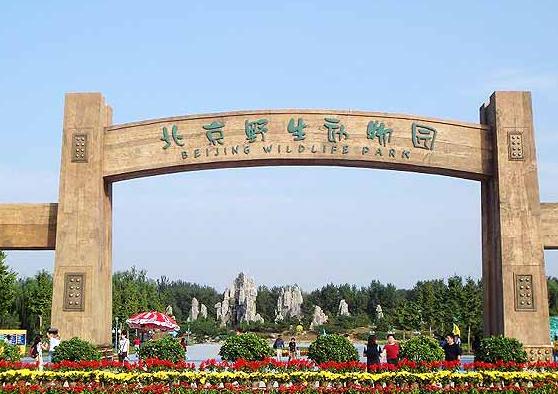  p>北京野生动物园位于北京的南大门,北京市大兴区榆垡镇永定河畔的万