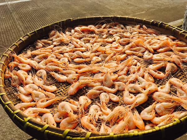 日晒虾干