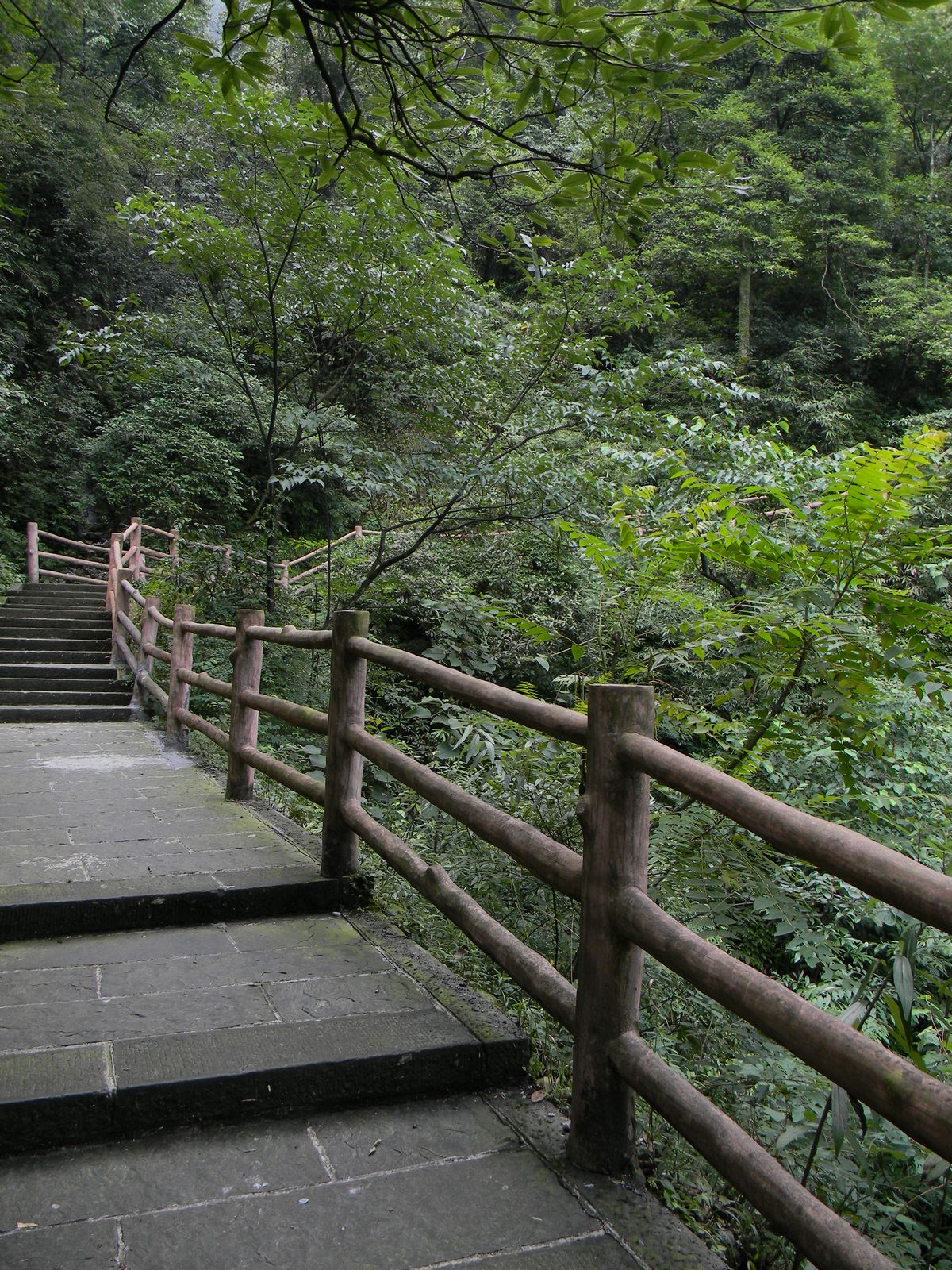  p>为 a target="_blank" href="/item/峨眉山/2676" data-lemmaid="