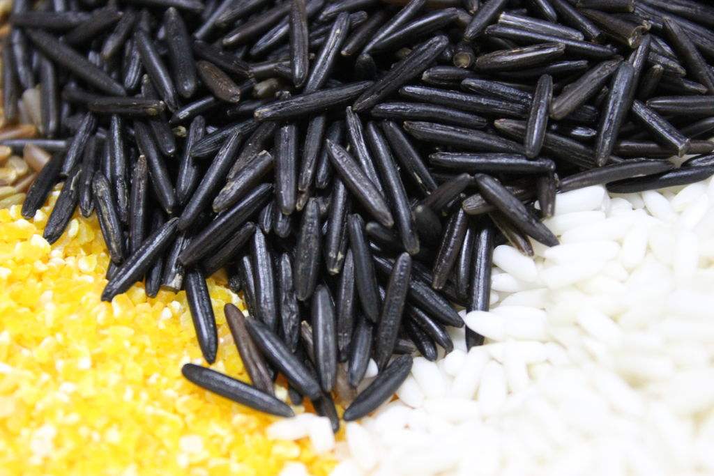  p>菰米,又称为雕苽,雕胡,菰粱,安胡,是 a target="_blank" href="