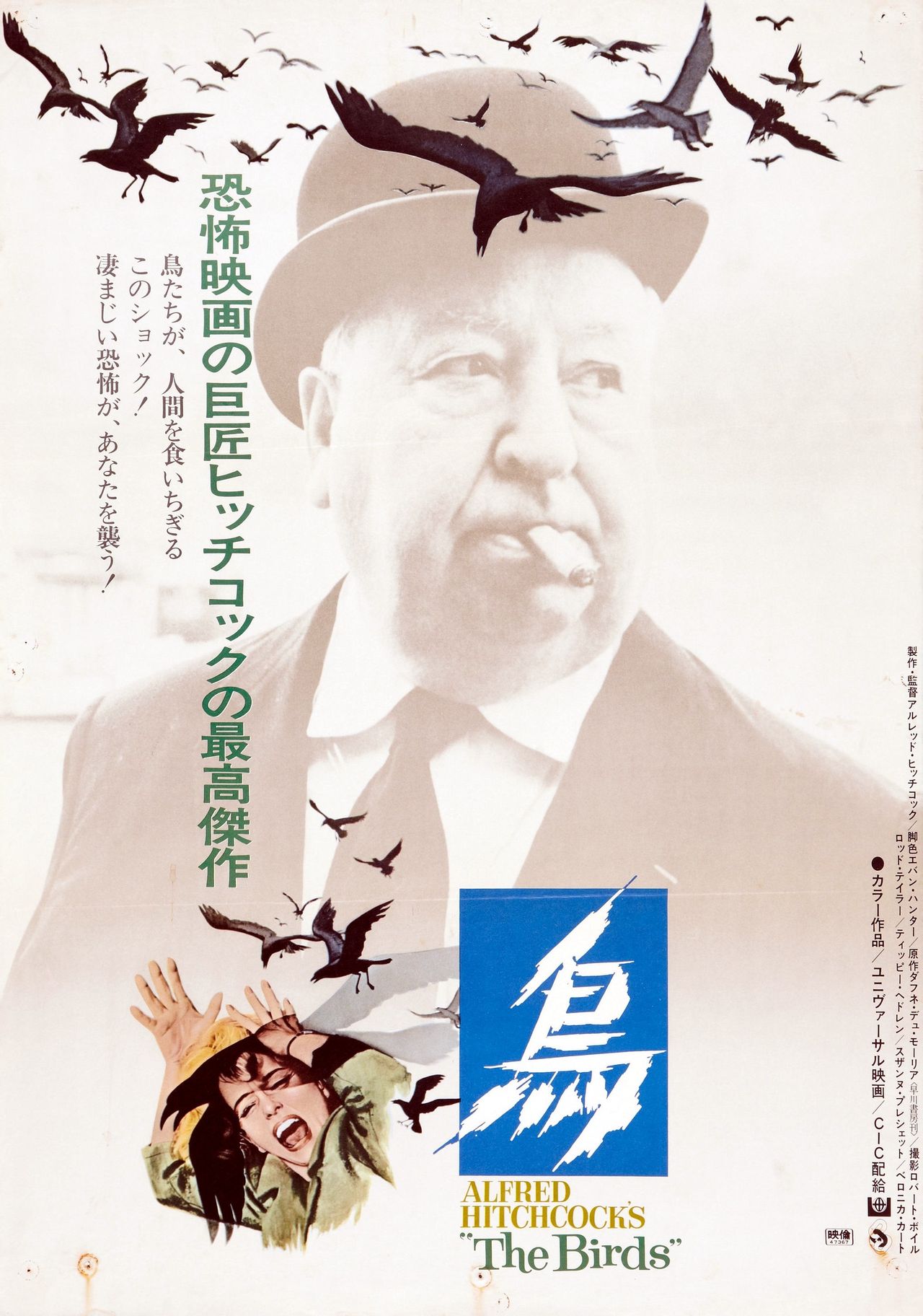 群鸟