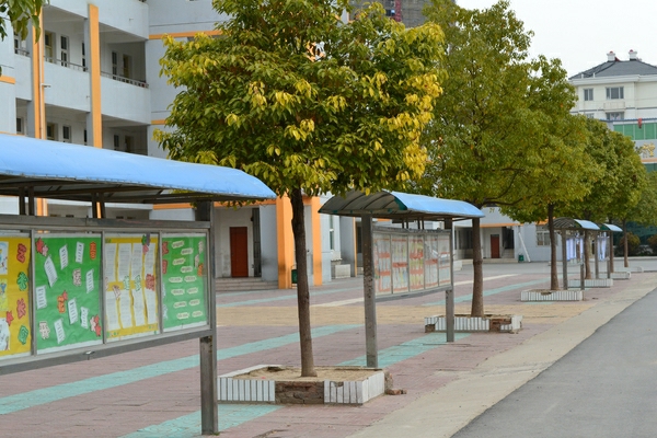 教育集团凭借其雄厚的实力于2011年6月正式打造高质量的泗阳致远小学