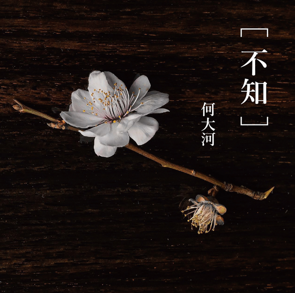 《不知》是何大河2016