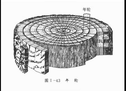 树木年轮气候学