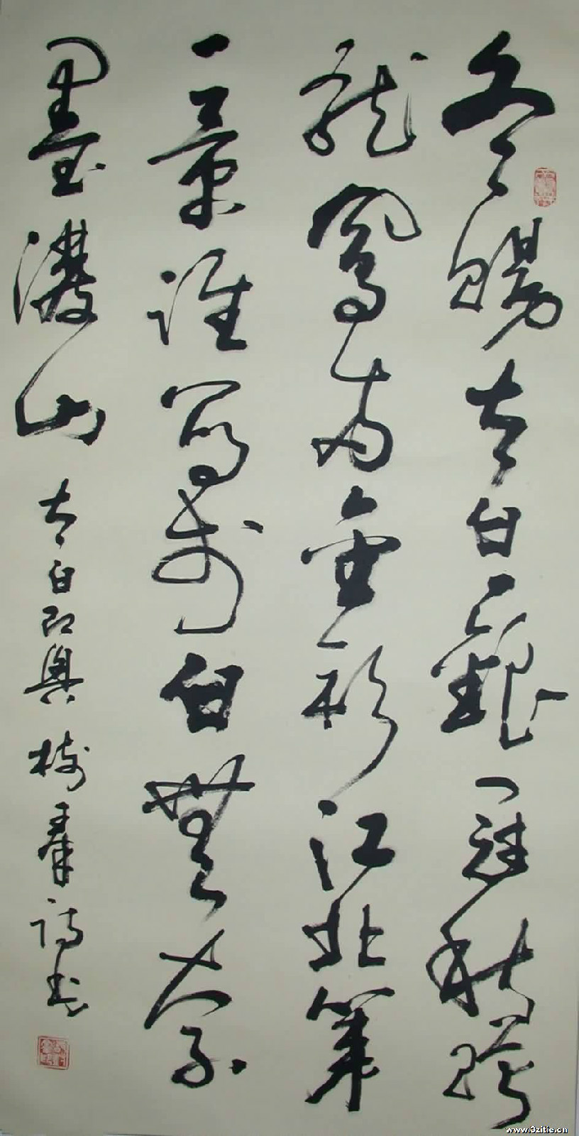 胡树群
