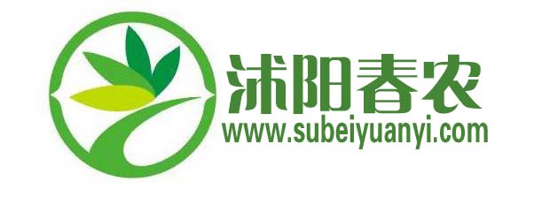 山东绿化用苗木价格