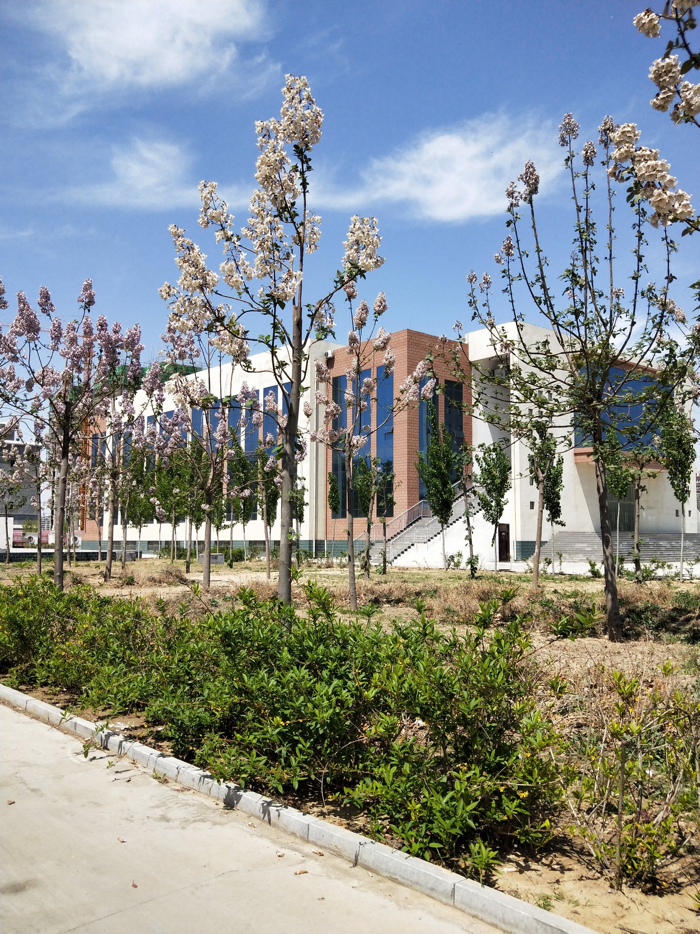 菏泽市定陶区第一中学