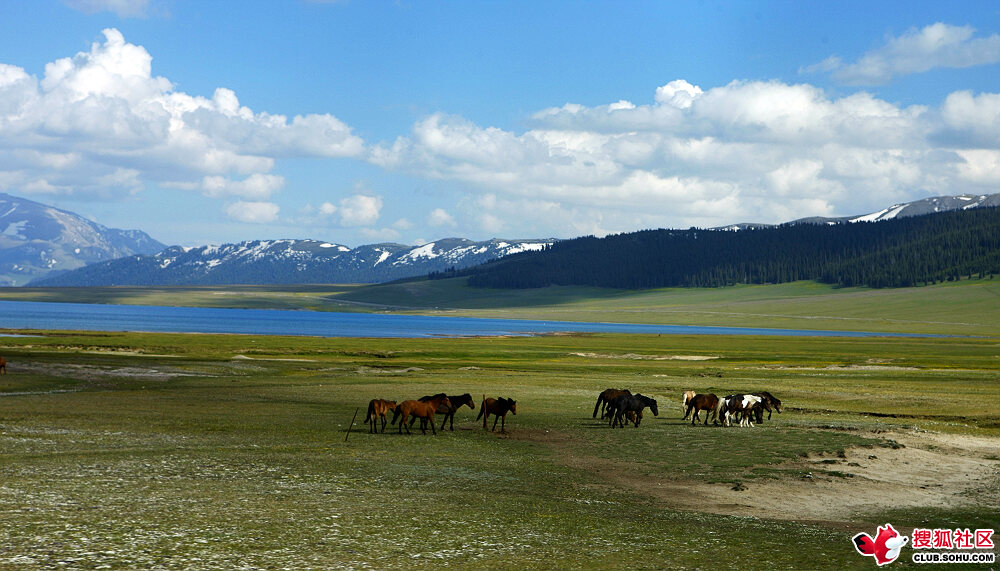 p>准噶尔盆地(英文junggar basin;"噶"为gá),位于中国 a target="