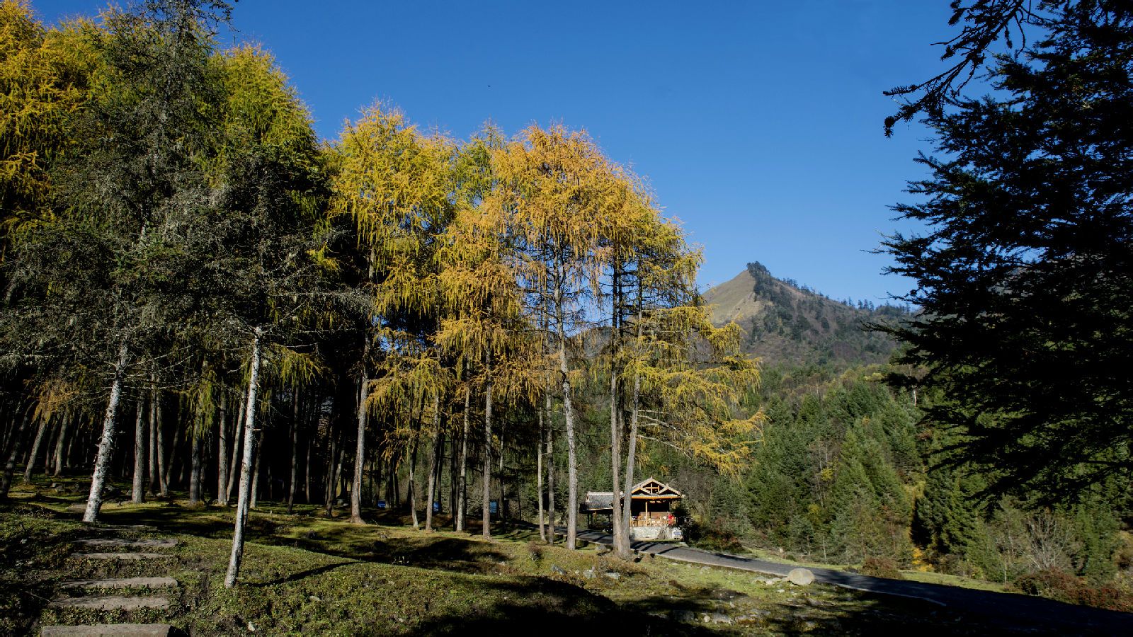 距县城约50公里,海拔3000米左右,神木垒原生态风景区位于宝兴硗碛