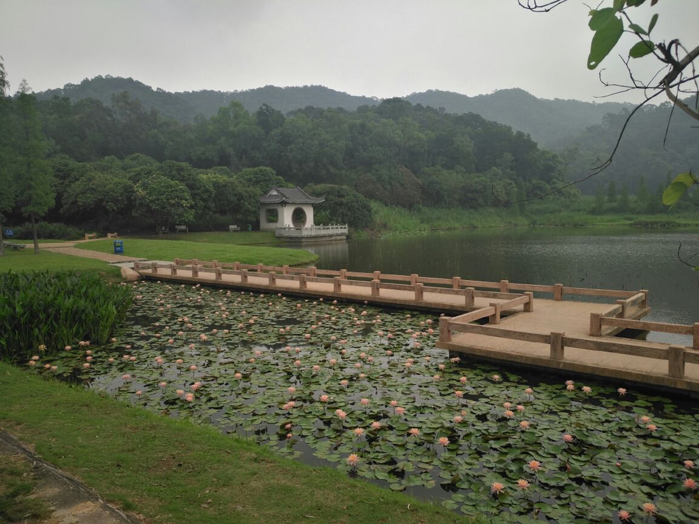  p>同沙生态公园位于 a href="#">东莞市 /a> a href="#" data-lemma
