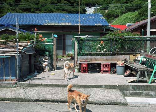 福江市_百度百科