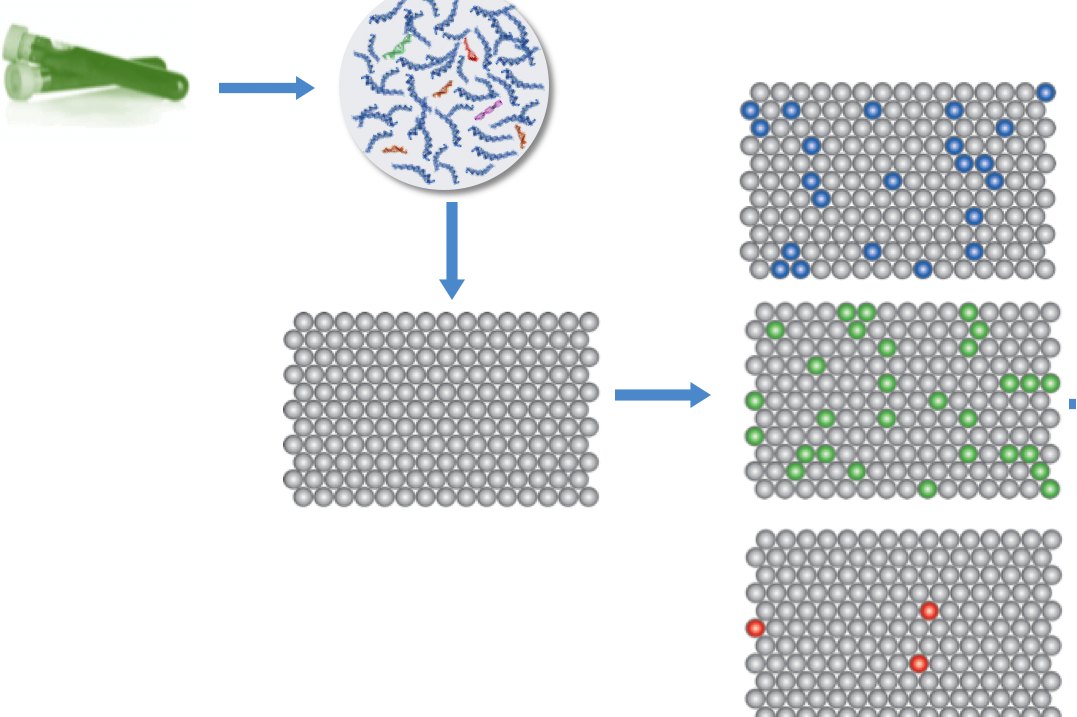  p>数字pcr即digital pcr(dpcr),它是一种核酸分子绝对定量技术.