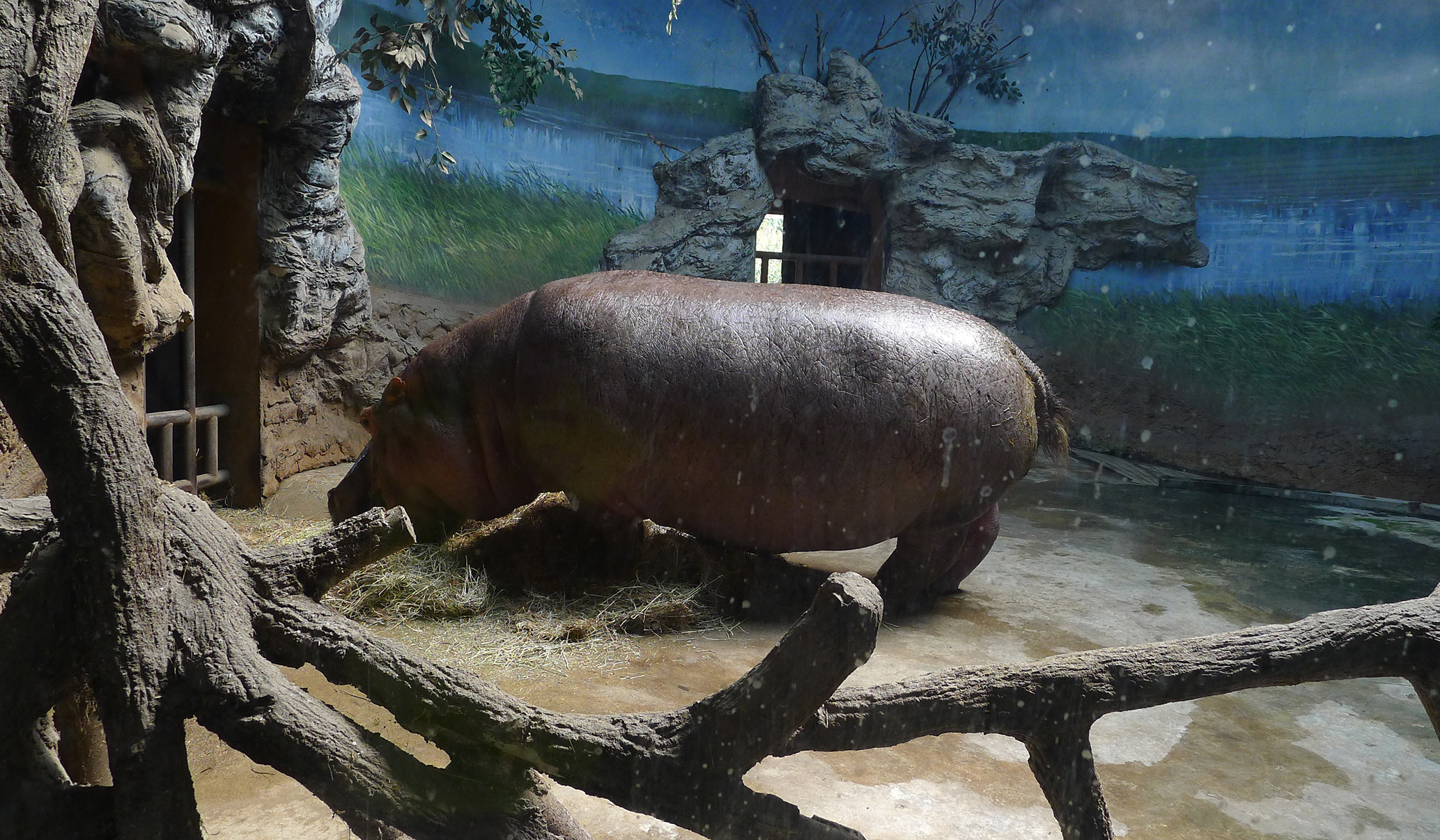 北京动物园两栖爬行动物馆