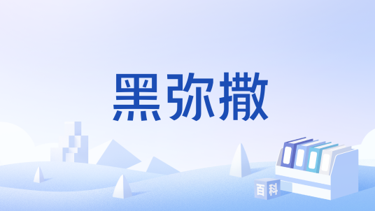 黑弥撒（词语）_百度百科